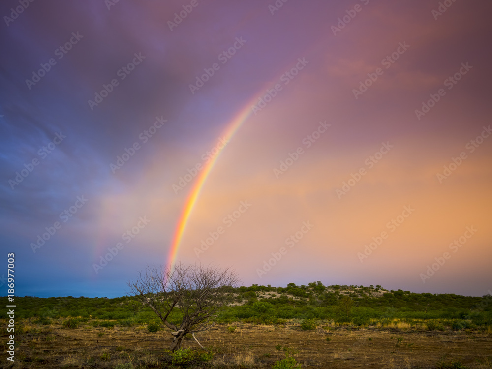 Namibia, Outjo, rainbow in Ongava Wild Reservat Namibia, Outjo, rainbow in Ongava Wild Reservat
