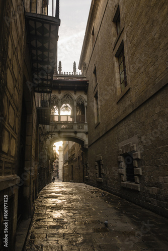 Spain, Barcelona, view to Bisbe Street in the Gothic Quarter photo