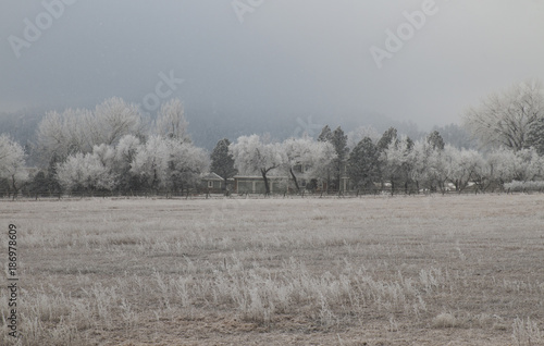 A white and icy morning in Lyons, Colorado