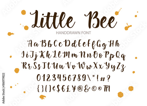 Modern calligraphic font. Brush painted letters.