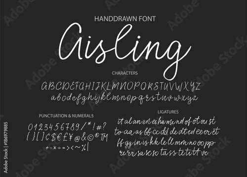 Modern calligraphic font. Brush painted letters.