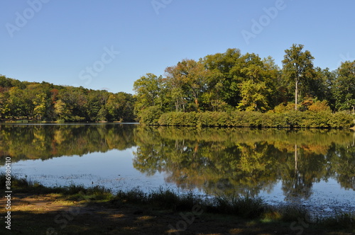 Lake with Trees Reflecting in the Water