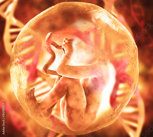 Human Fetus and Dna Medical concept Graphic and Scientific Background