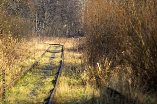 rails in the autumn forest