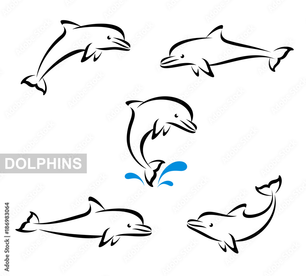 Fototapeta premium Zestaw delfinów. Wektor