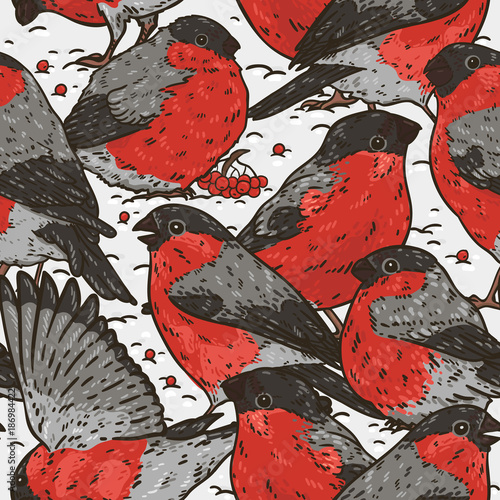 Seamles hand drawn pattern with bullfinches on the snow