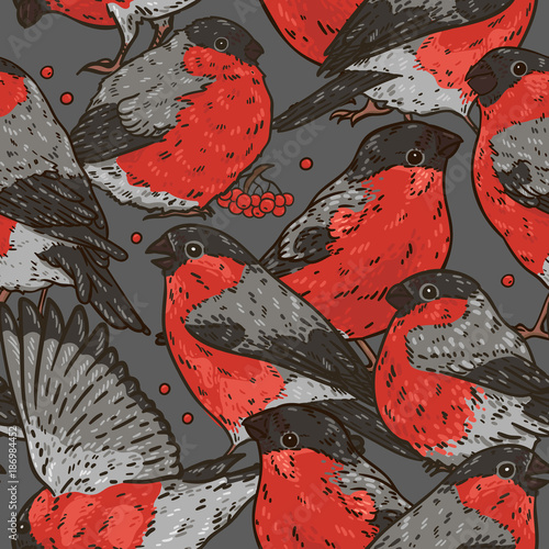 Seamles hand drawn pattern with bullfinches on the grey