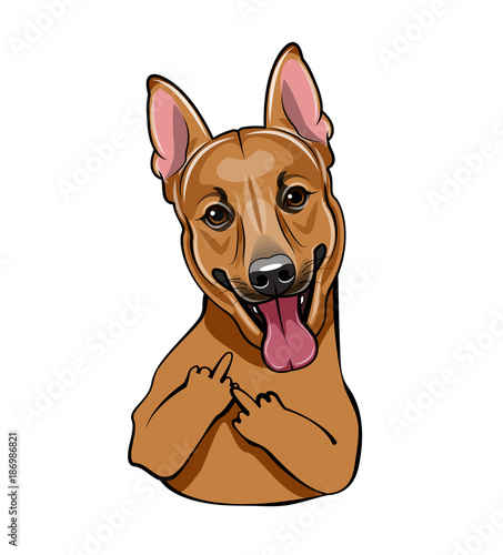 Vector illustration of a brown cute dog with middle finger