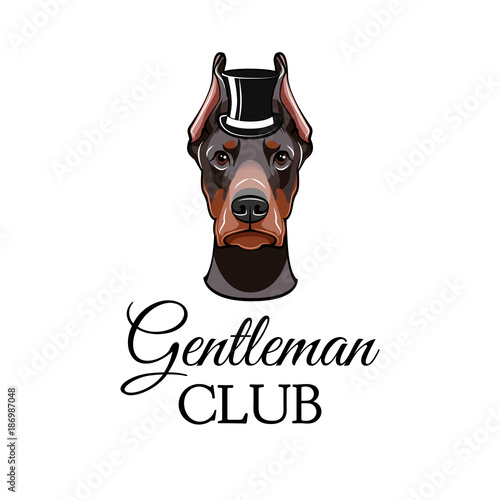 Doberman Pinscher dog with top hat.. Vector illustrated portrait of dog.