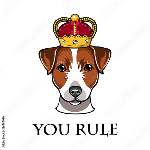 Jack Russell Terrier in the crown dog vector illustration isolated in white background.