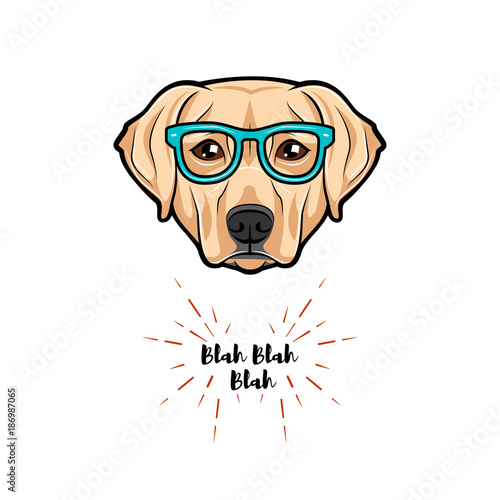 Vector images of dog labrador wearing glasses on white background