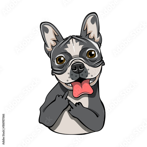 Bulldog isolated on white background with middle finger. Cute gray bulldog icon.