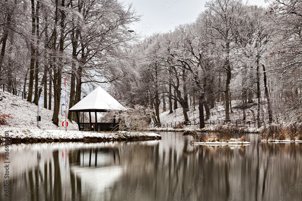 Obraz premium Still lake in winter