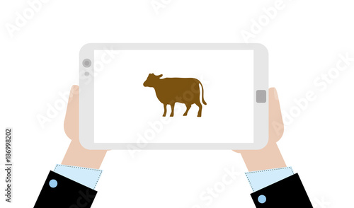 Geschäftsmann mit Tablet - Rind