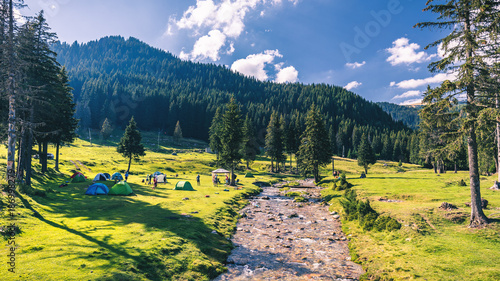 Beautiful view of mountain river in summer. Ialomita river, Romania, Europe. Carpathian mountains, Bucegi Natural Park. Beauty world. photo