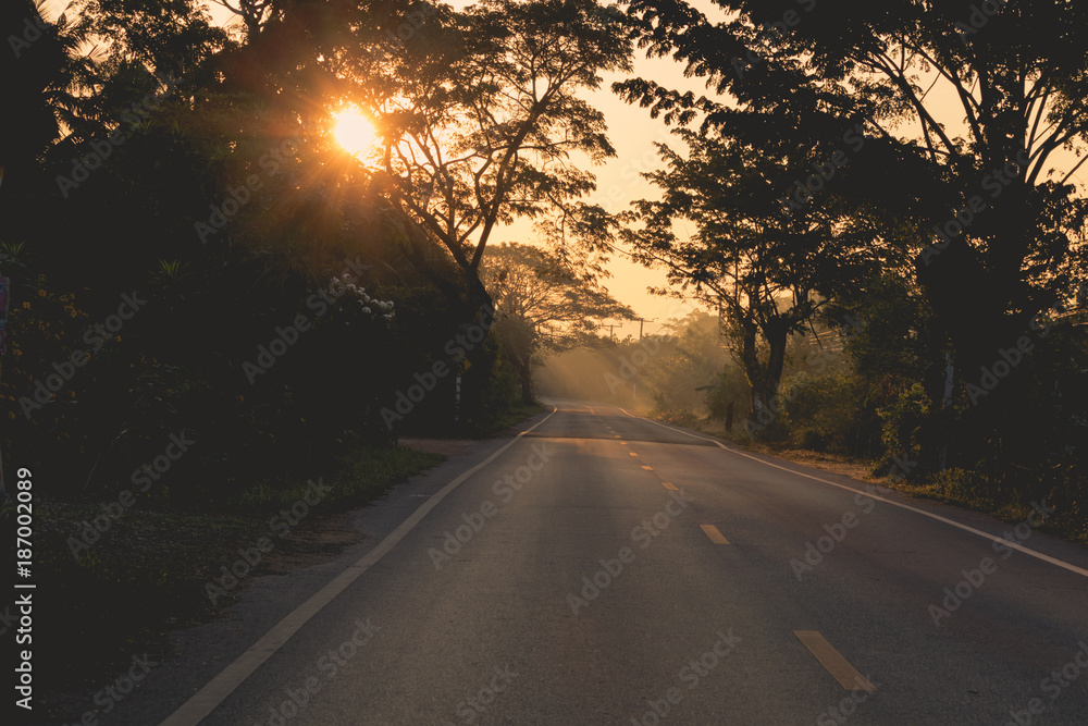 Sunrise over the tree and asphalt road.Silhouette of the tree and mist.