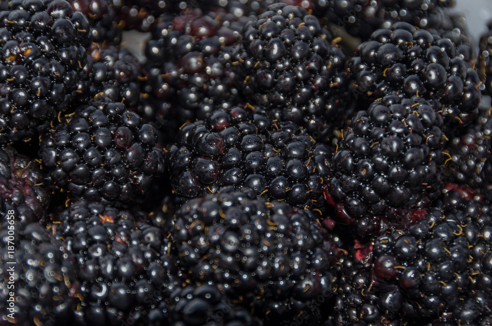 Bunch of blackberry fruits, wooden background, close up Bunch of blackberry fruits, wooden background, close up