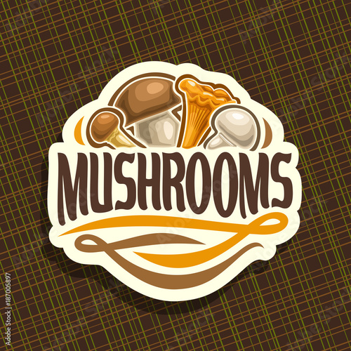 Vector logo for Mushrooms, cut sign with edible honey agaric, wild porcini mushroom, forest chanterelle, fresh champignon on geometric background, veg mix label with text mushrooms for vegan store.