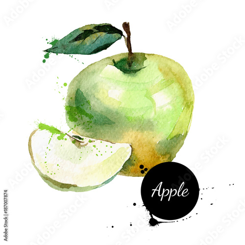 Hand drawn watercolor painting on white background. Vector illus