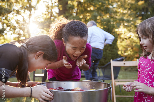 Three young girls apple bobbing at a backyard party photo