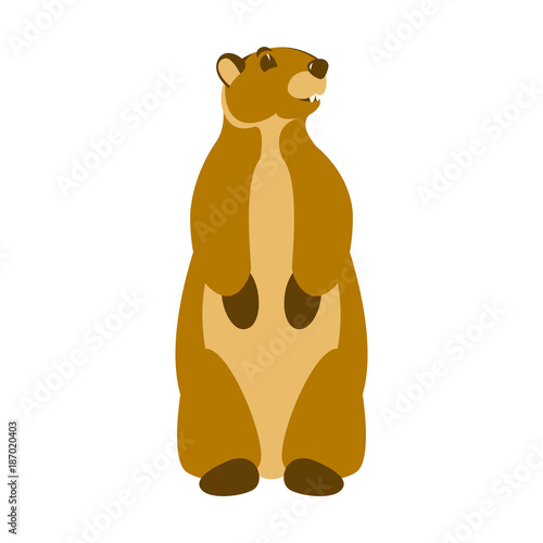 groundhog vector illustration flat style front