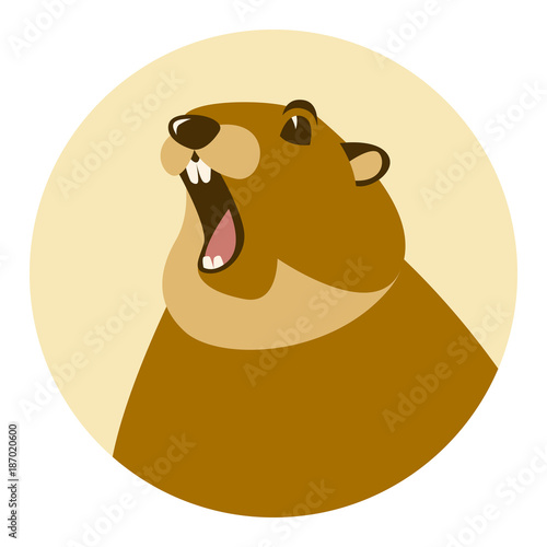 groundhog head  vector illustration flat style front