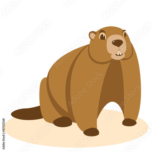 groundhog   vector illustration flat style front view