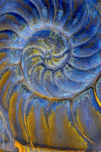 Closeup macro photograph of a nautilus shell Impressed into ceramic clay, colorized from original capture photo