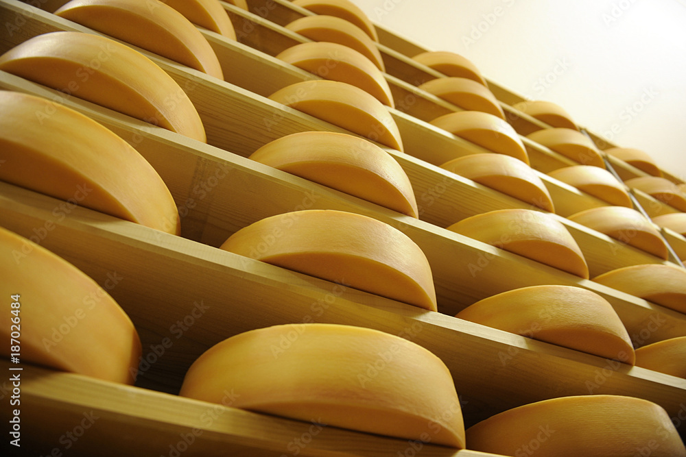 Obraz premium cheese factory in switzerland