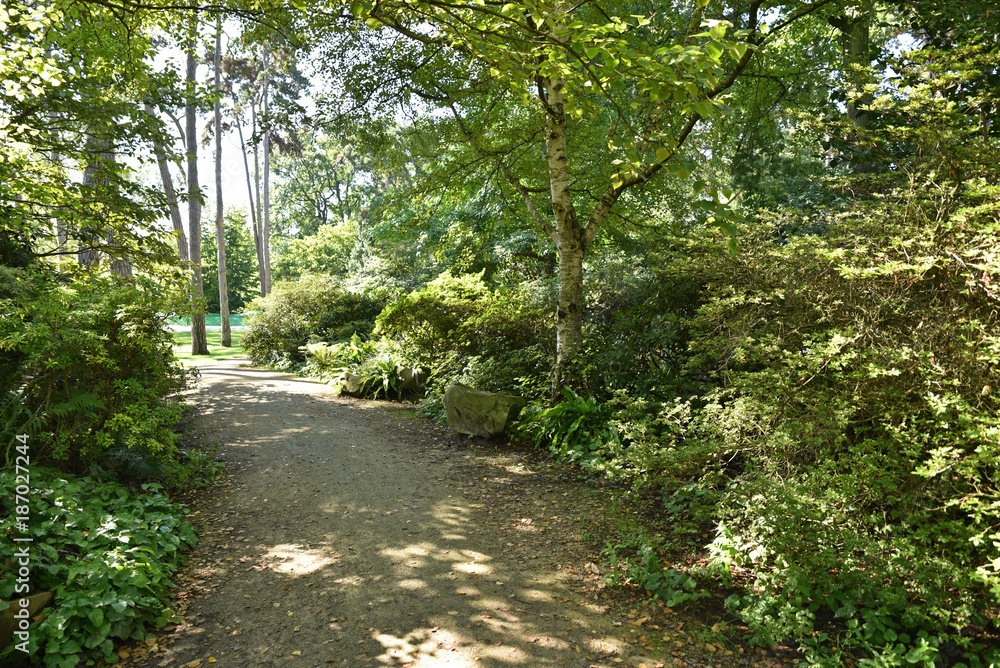 Allée de jardin ombragée en été