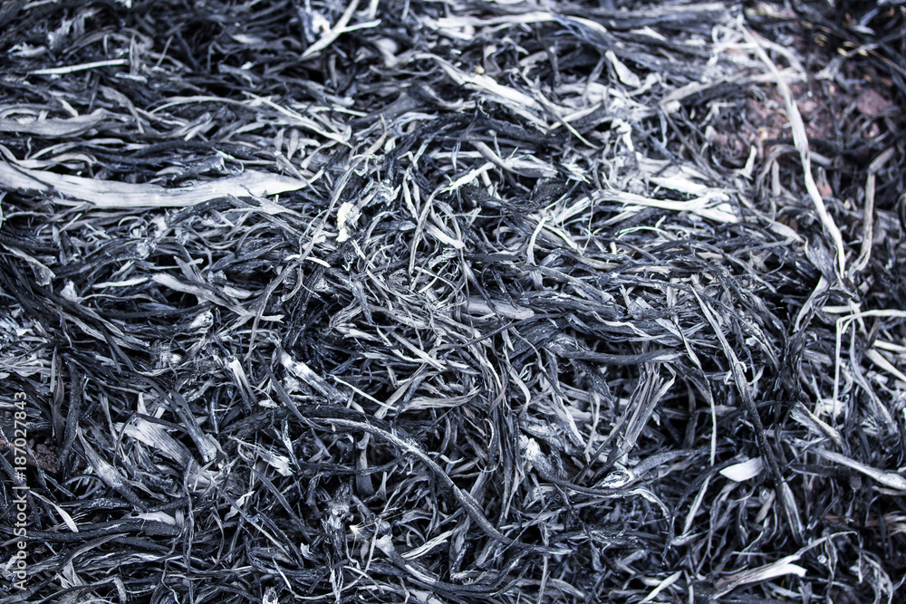 Ashes textures of burned the grass. Abstract background, selective focus, process black and white color. Ashes textures of burned the grass. Abstract background, selective focus, process black and white color.