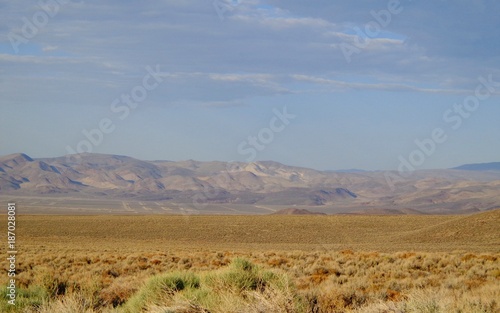 Desert Landscape