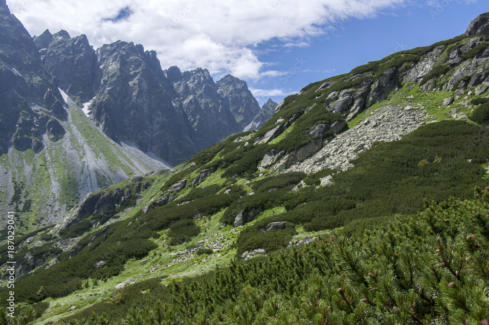 Mengusovska dolina, important hiking trail to hight mount Rysy, High Tatra mountains, Slovakia, amazing view with green hills Mengusovska dolina, important hiking trail to hight mount Rysy, High Tatra mountains, Slovakia, amazing view with green hills