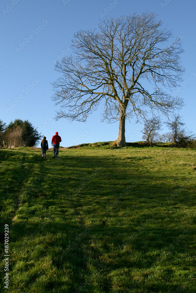 Winter walk Winter walk