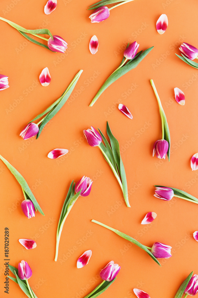 Tulip background Tulip background