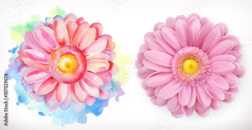 Spring pink flowers, Daisy, watercolor and 3d realism