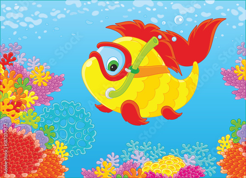 A funny fish-diver with a m...