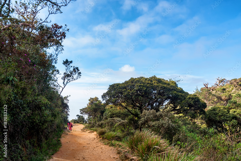 Tourists walk in Horton Plains Tourists walk in Horton Plains