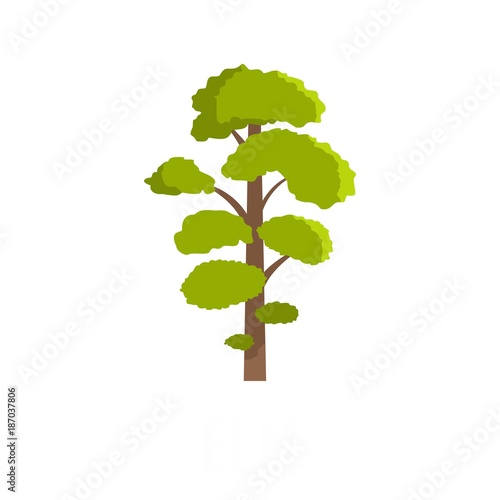 Elm tree icon. Flat illustration of elm tree vector icon isolated on white background