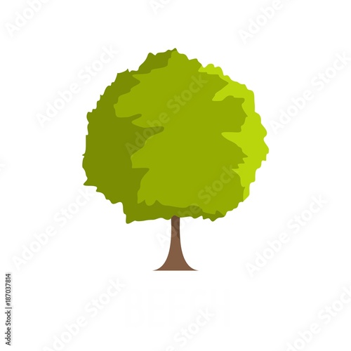 Beech tree icon. Flat illustration of beech tree vector icon isolated on white background