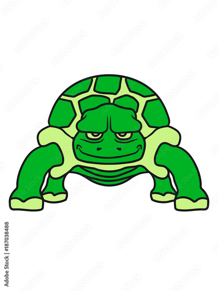 Fototapeta premium schildkröte süß niedlich comic cartoon clipart land beine