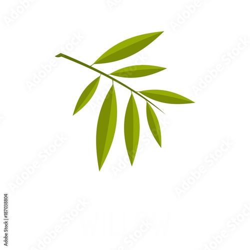 Willow leaf icon. Flat illustration of willow leaf vector icon isolated on white background