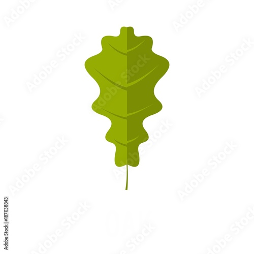 Oak leaf icon. Flat illustration of oak leaf vector icon isolated on white background