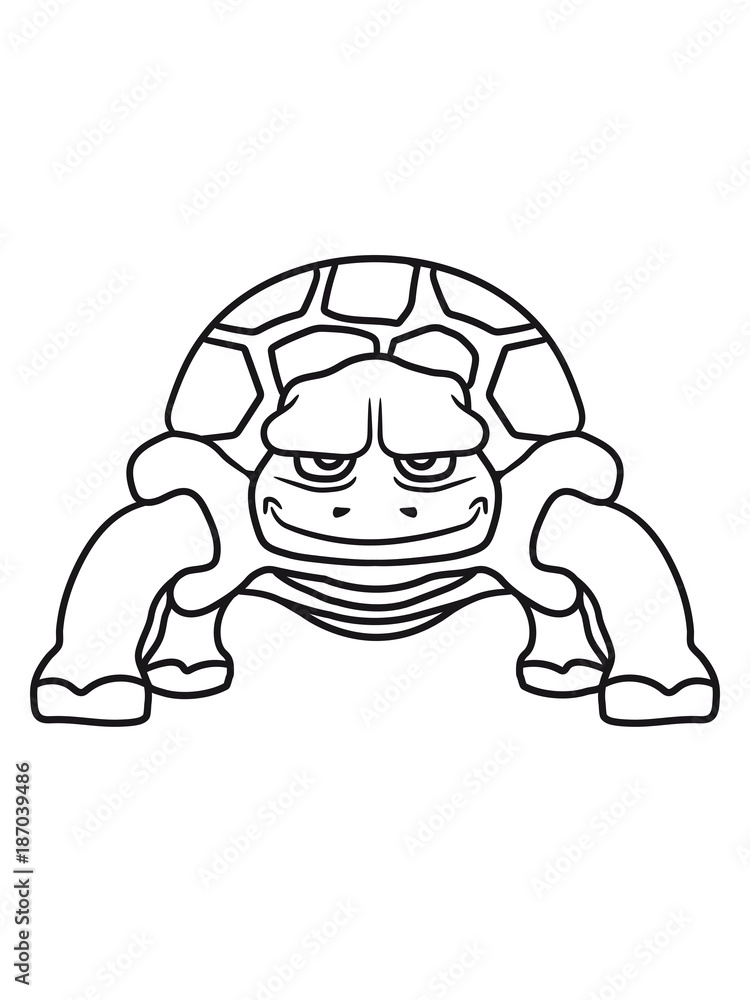 schildkröte süß niedlich comic cartoon clipart land beine schildkröte süß niedlich comic cartoon clipart land beine