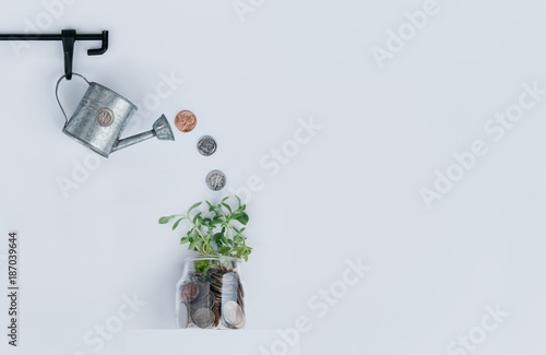 Watering can sprinkles money on a plant in a jar of money