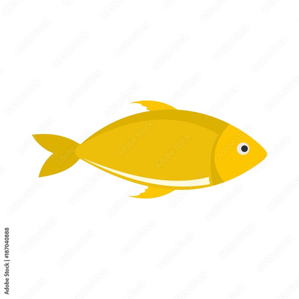 Fish icon. Flat illustration of fish vector icon isolated on white background Fish icon. Flat illustration of fish vector icon isolated on white background