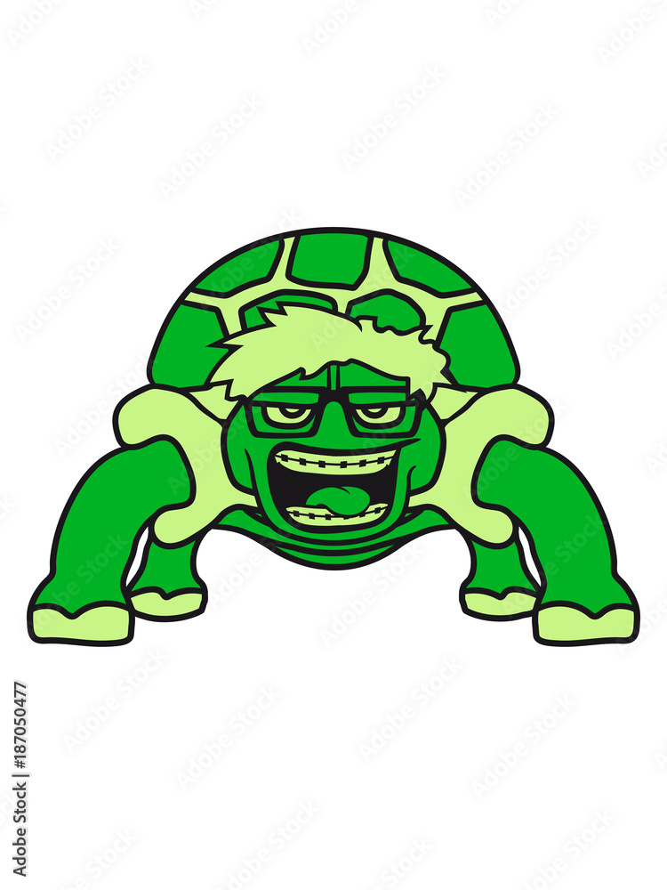 nerd geek schlau intelligent hornbrille zahnspange schildkröte süß niedlich comic cartoon clipart land beine nerd geek schlau intelligent hornbrille zahnspange schildkröte süß niedlich comic cartoon clipart land beine