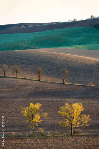 Autumn hills (Moravia, Czech Republic)