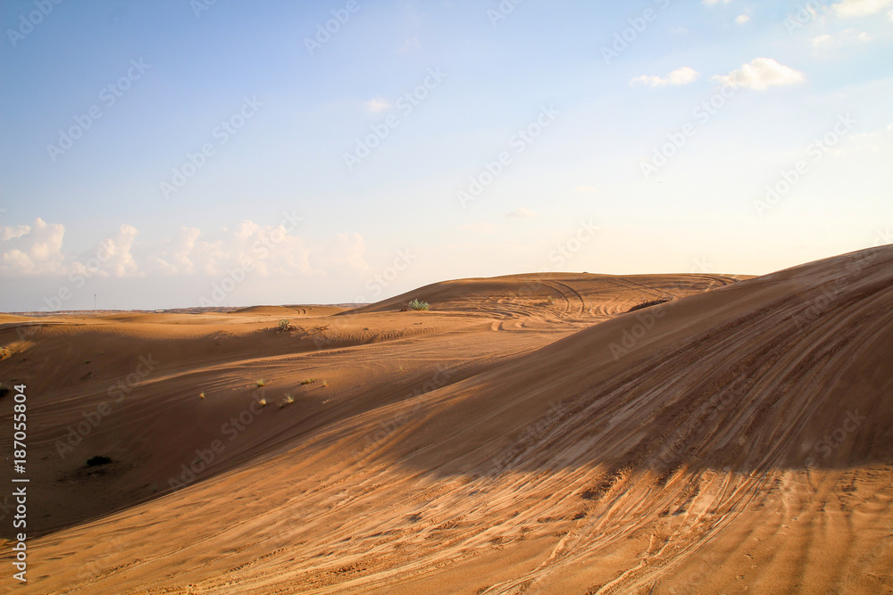 Sandwüste im Abendlicht, Wüste Sandwüste im Abendlicht, Wüste