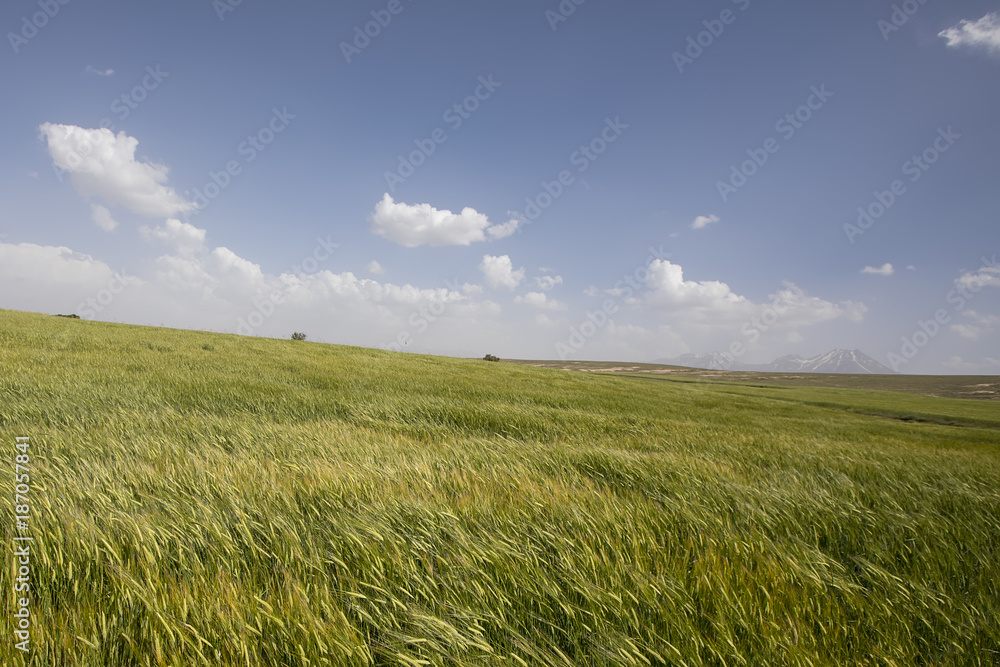 Volcanic mountain Erciyes and Kayseri farmland - Kayseri Turkey Volcanic mountain Erciyes and Kayseri farmland - Kayseri Turkey